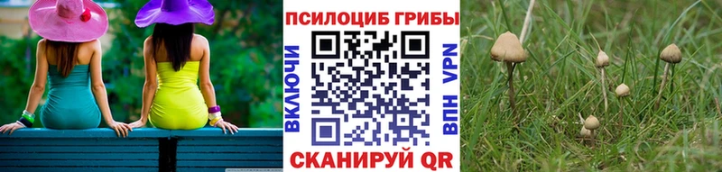 закладки  Рузаевка  Галлюциногенные грибы GOLDEN TEACHER 